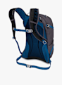 Osprey Sylva 12 L sac à dos de randonnée Gris 22234 3