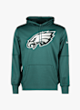 Nike Philadelphia Eagles Nike Logo Therma Herren Hoodie Grün 25133 5