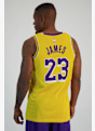 Nike Los Angeles Lakers Icon Edition LeBron James Herren Basketballtrikot Gelb 26503 2