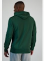 Nike Green Bay Packers Logo Prime Herren Hoodie Grün 27465 2