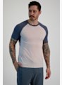 Odlo Ascent Performance Wool 125 Herren T-Shirt Grau 29842 1