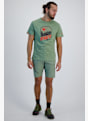 Dynafit Graphic Cotton t-shirt uomo Verde 30209 3