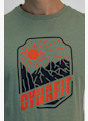 Dynafit Graphic Cotton t-shirt hommes Vert 30209 4