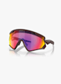 Oakley Wind Jacket 2.0 Sportbrille Braun 30438 12