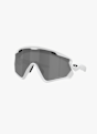 Oakley Wind Jacket 2.0 lunettes de sport Noir 30433 4