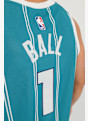 Nike Charlotte Hornets Icon Edition Lamelo Ball maglia da basket uomo Blu 30854 5