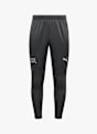 PUMA Suisse Training pantalon de sport hommes Gris 31045 1