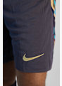Nike England Away Replica Herren Short EM 2024 Lila 31064 5