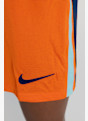Nike Paesi Bassi Home Replica short uomo EURO 2024 Arancia 31061 4