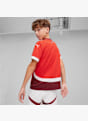 PUMA Svizzera Home Replica maglia da calcio bambini EURO 2024 Rosso 31329 5