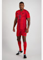 adidas FC Bayern Monaco Home Replica short uomo 24/25 Rosso 34401 3