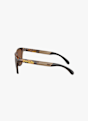 Oakley Frogskins™ Range occhiali da sole Marrone 34563 4