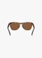 Oakley Frogskins™ Range lunettes de soleil Marron 34563 5