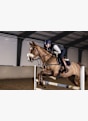 Polar Equine H10 équitation cardiofréquencemètre Noir 34975 3