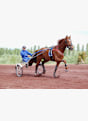 Polar Equine trottatori fascia toracica Nero 34974 3