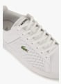 Lacoste Euro Base sneaker hommes Blanc 35228 6