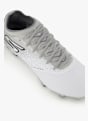 Skechers Razor 1.5 Elite FG chaussures de football Blanc 36258 6
