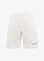 Nike Dri-FIT Academy short uomo Bianco 37307 5