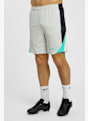 Nike Dri-FIT Strike short hommes Blanc 37332 1