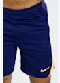 Nike Dri-FIT Strike Herren Short Blau 37334 3