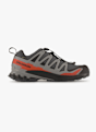 Salomon XA Pro 3D V9 Gore-Tex® scarpe da trekking uomo Grigio 38021 1