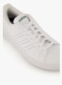 adidas Advantage 2.0 sneaker hommes Blanc 38199 6