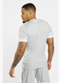 adidas Squadra 25 Herren T-Shirt Grau 38806 2