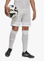 adidas Squadra 25 Kinder Short Weiss 38816 3