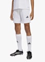 adidas Squadra 25 short enfants Blanc 38812 3