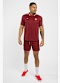 adidas FC Bayern Monaco Icon t-shirt uomo Rosso 38833 3