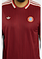 adidas FC Bayern Monaco Icon t-shirt uomo Rosso 38833 4