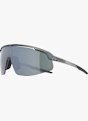 ALPINA Turbo Pro Q-Lite Sportbrille Grau 38827 1