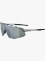 ALPINA Turbo Pro Q-Lite Sportbrille Grau 38827 2