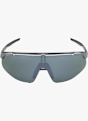 ALPINA Turbo Pro Q-Lite Sportbrille Grau 38827 3