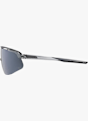 ALPINA Turbo Pro Q-Lite Sportbrille Grau 38827 4