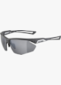 ALPINA Nylos HR occhiali sportivi Grigio 38846 2