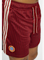 adidas FC Bayern München Icon Herren Short Rot 38854 6