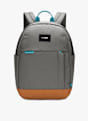Pacsafe GO Anti-Theft 15 L Rucksack Grau 39198 3