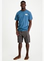 PROTEST PRTNYTRO Cargo Herren Short Grau 39430 3
