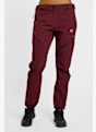2117 OF SWEDEN Sandhem pantalon de randonnée femmes Rouge Foncé 39646 1
