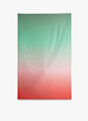 BEACH MOUNTAIN 110 cm x 175 cm torchon en microfibres Vert 40136 3