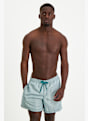 Quiksilver Everyday Deluxe 15" costume da bagno uomo Verde 40082 1