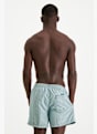 Quiksilver Everyday Deluxe 15" costume da bagno uomo Verde 40082 2