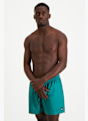 Quiksilver Everyday Solid 15" short de bain hommes Vert 40099 1