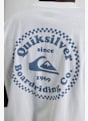 Quiksilver DNA t-shirt hommes Blanc 40150 4