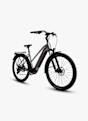 Stoke Ica 29 e-bike Grigio 40515 3