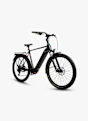 Stoke Agora 29 e-bike Grigio 40504 3