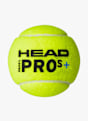 HEAD 24-Pack Padel Pro S+ Padelball Gelb 40565 3
