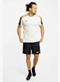 Nike Dri-FIT Strike t-shirt uomo Marrone 40810 3