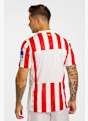 Nike Atlético Madrid Home Replica Herren Fussballtrikot 25/26 Rot 40812 2